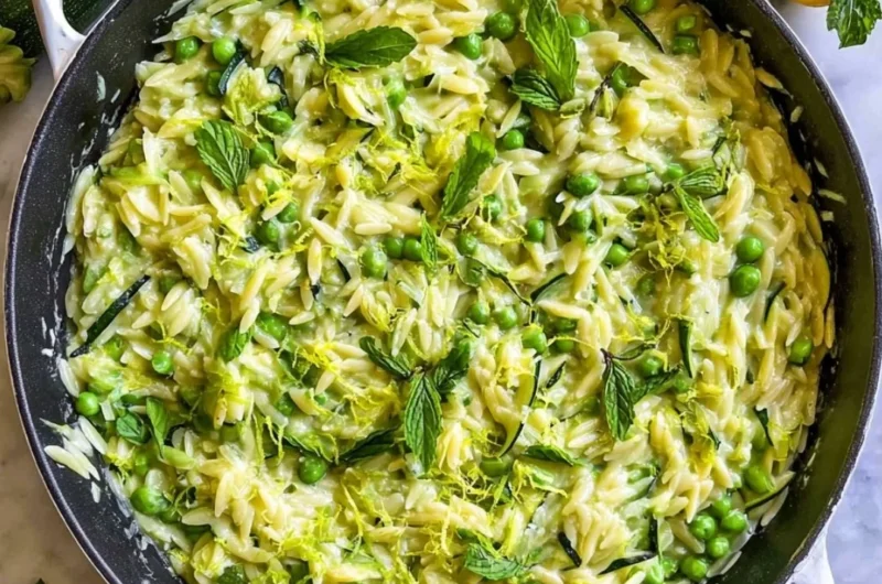 Plate of Lemon Orzo with Zucchini garnished with herbs