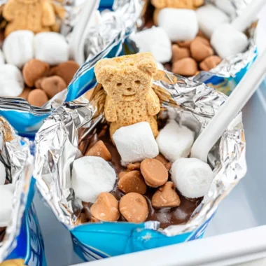 Easy-to-carry portable s'mores ready for a camping adventure