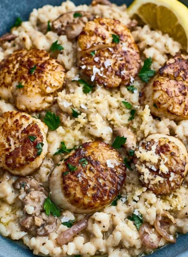 Delicious scallops served with creamy risotto on a plate